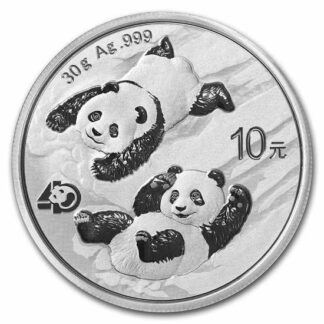 0005472_china-panda-2022-30-g-silber_550